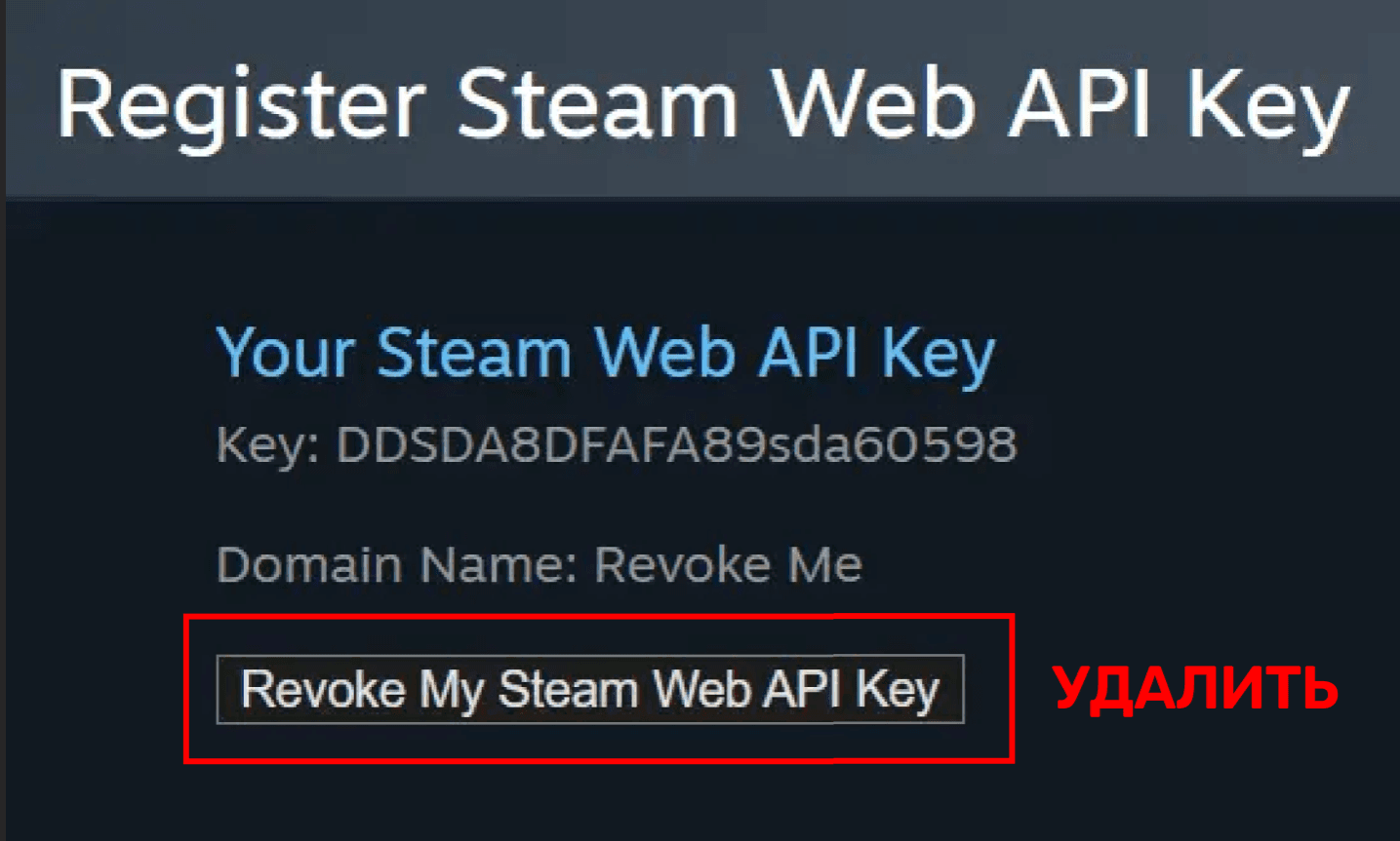 5.png